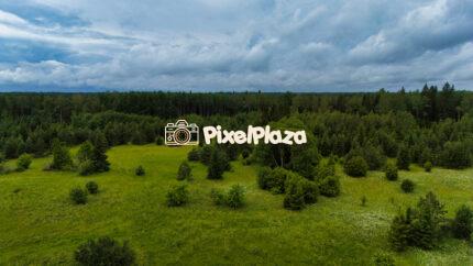 Aerial View of Lush Green Meadow and Dense Forest Under Moody Sky - Summer Nature Landscape